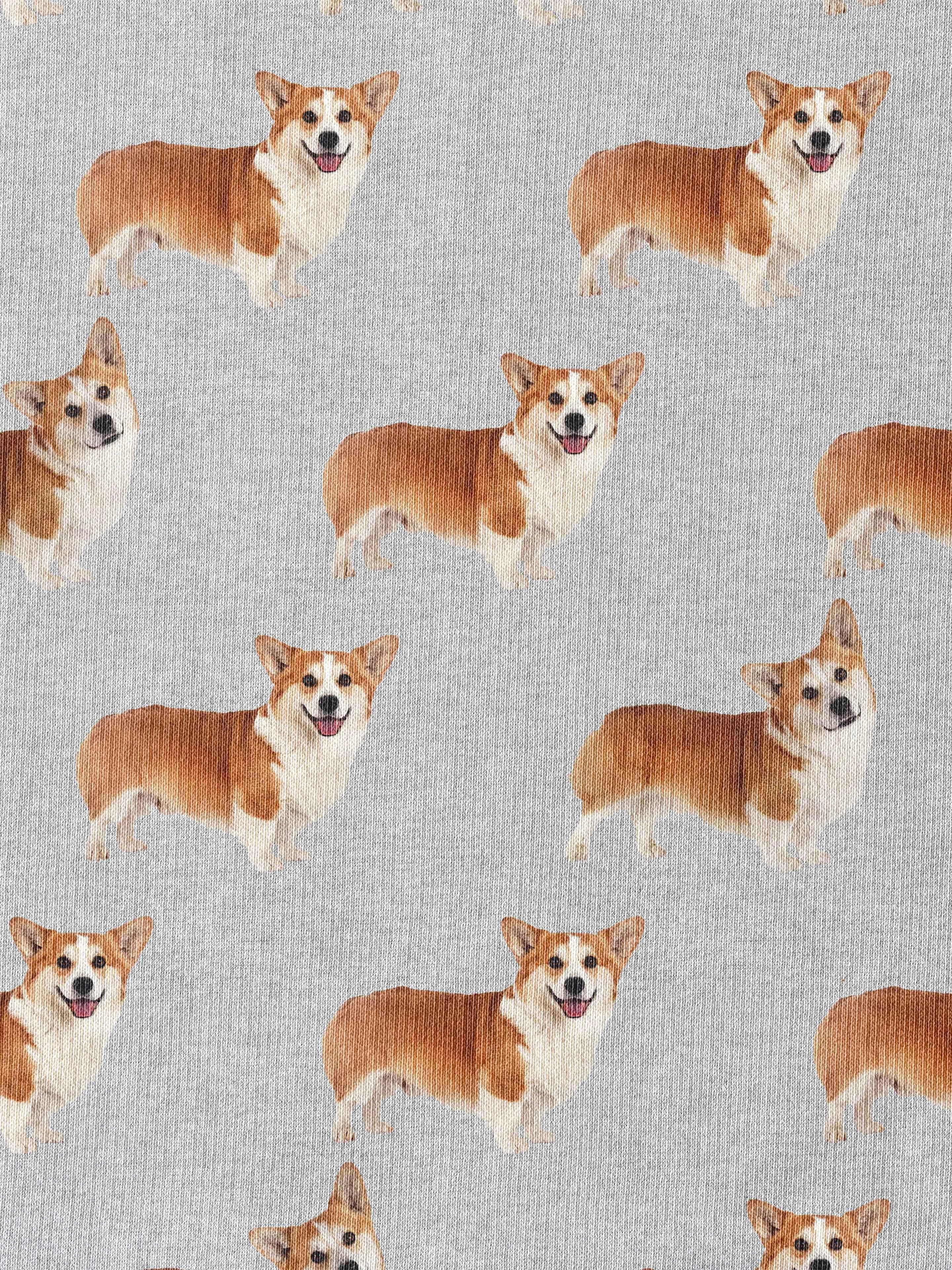 Corgi Time Oversized Hoodie Kids