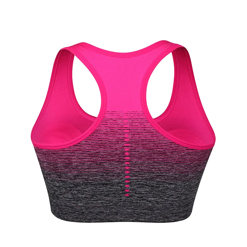 Gradient High Stretch Sports Bra
