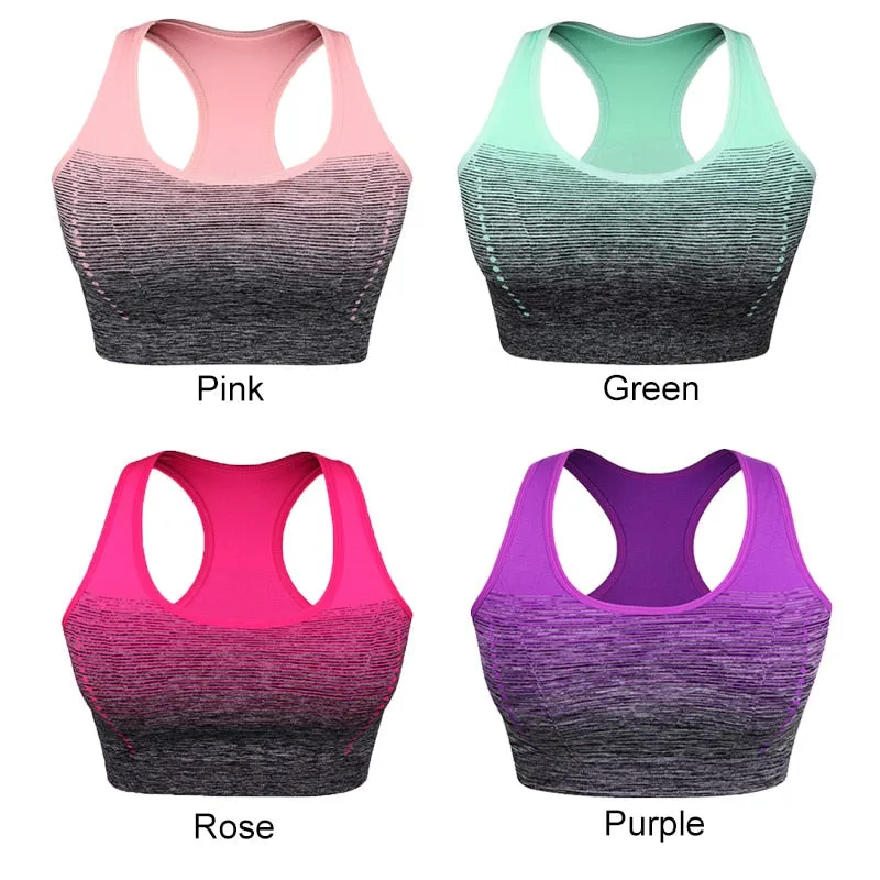 Gradient High Stretch Sports Bra
