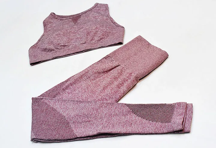 New Seamless Mesh  Gym Sets