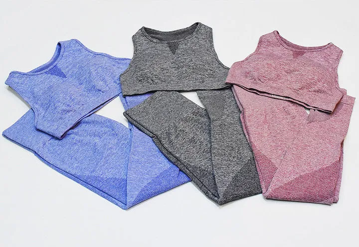 New Seamless Mesh  Gym Sets
