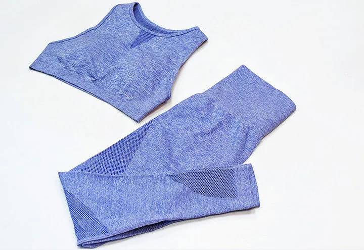 New Seamless Mesh  Gym Sets