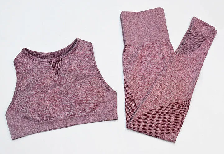 New Seamless Mesh  Gym Sets