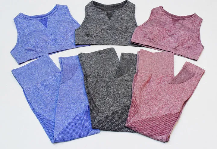 New Seamless Mesh  Gym Sets