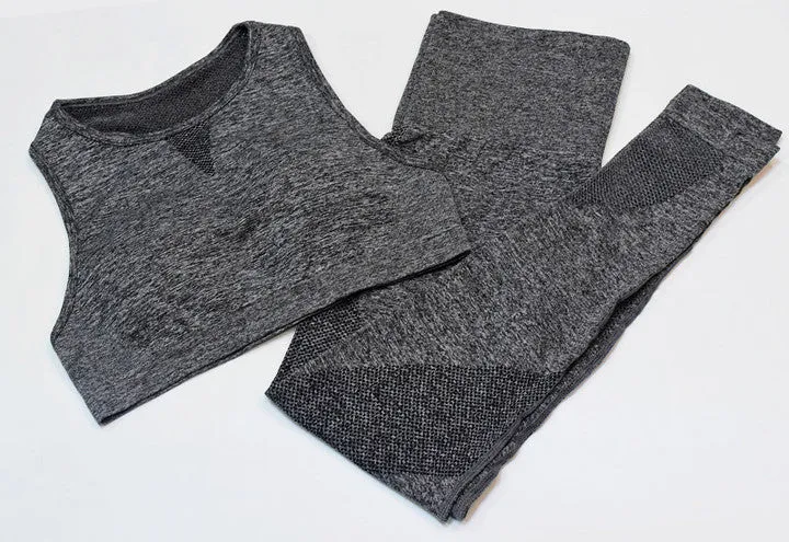 New Seamless Mesh  Gym Sets
