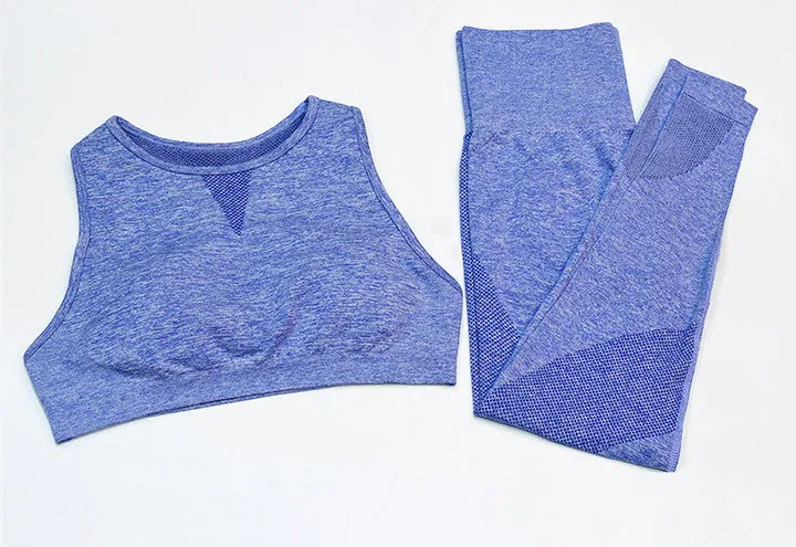 New Seamless Mesh  Gym Sets