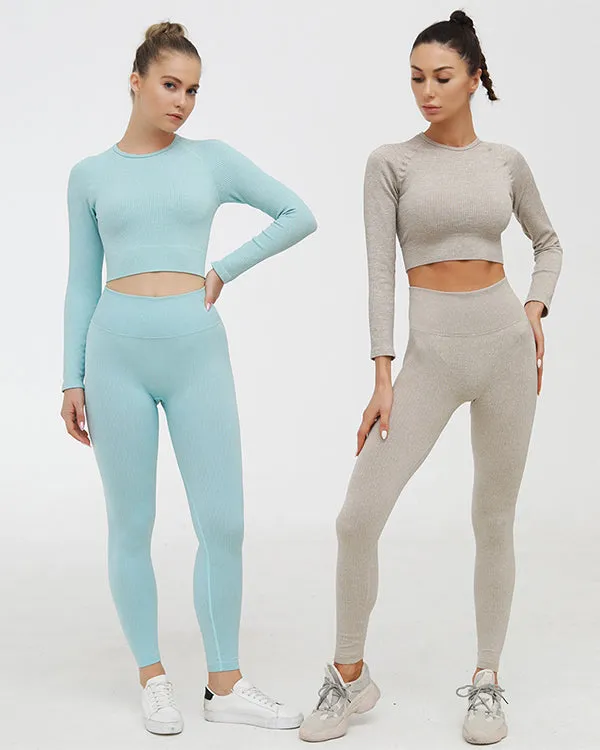 Seamless Long Sleeves  Gym Sets