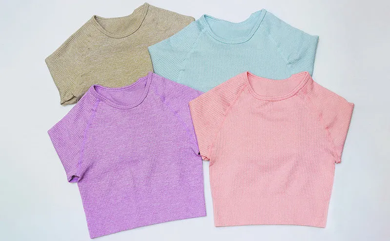Seamless Long Sleeves  Gym Sets