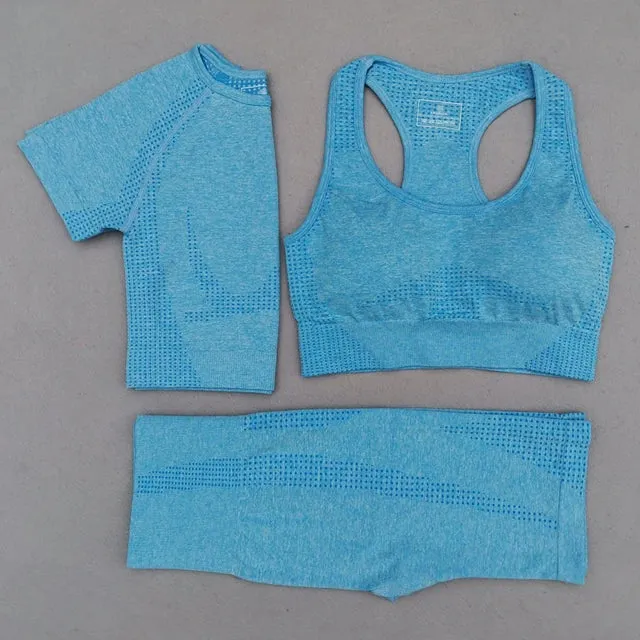 Seamless Women Yoga Set - Workout Sportswear Gym Clothing, High Waist Leggings Crop Top Sport Bra, Long Sleeve Sports Suits