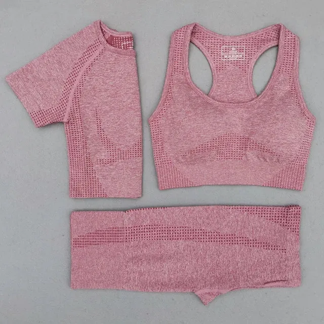 Seamless Women Yoga Set - Workout Sportswear Gym Clothing, High Waist Leggings Crop Top Sport Bra, Long Sleeve Sports Suits