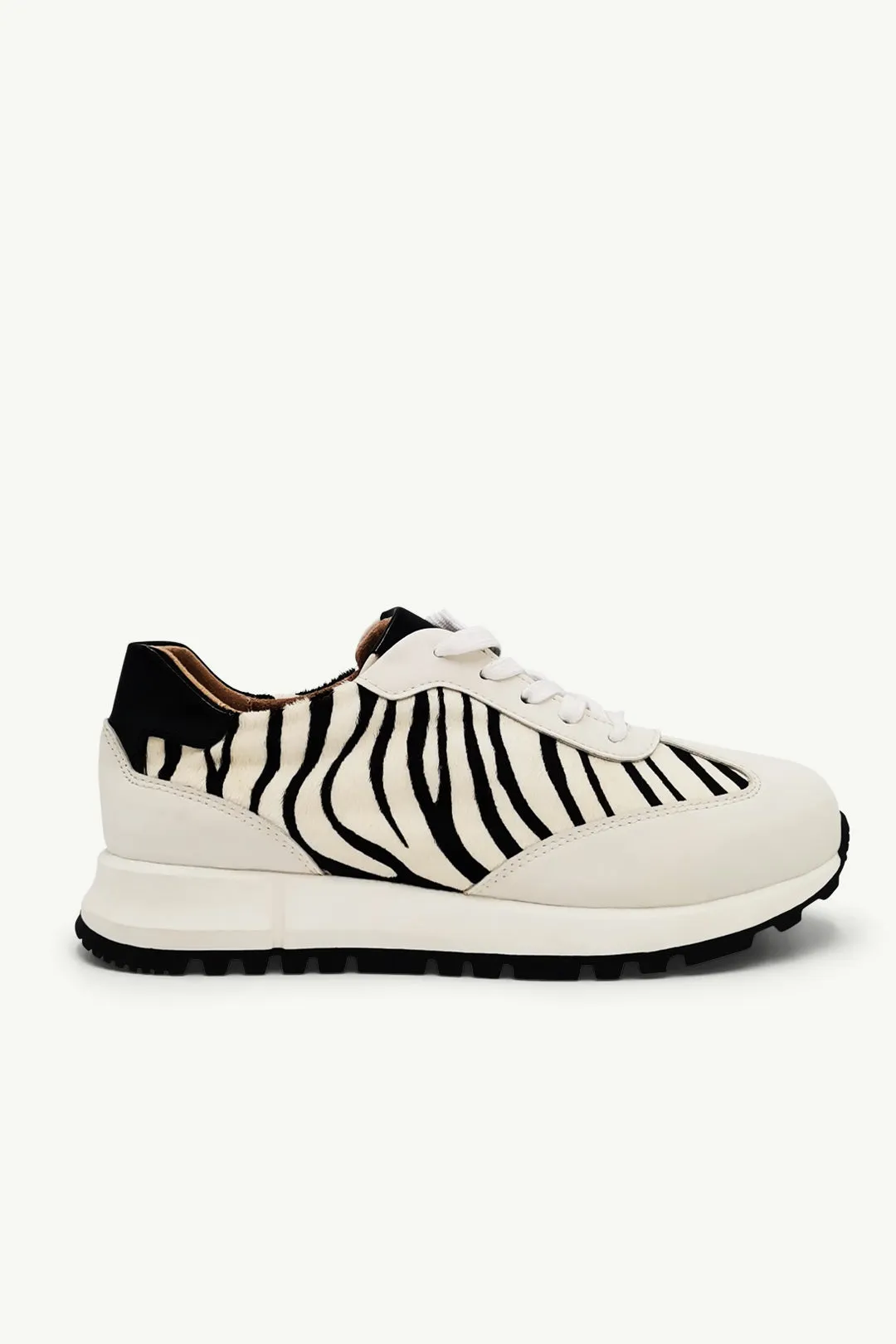 Sterling Zebra