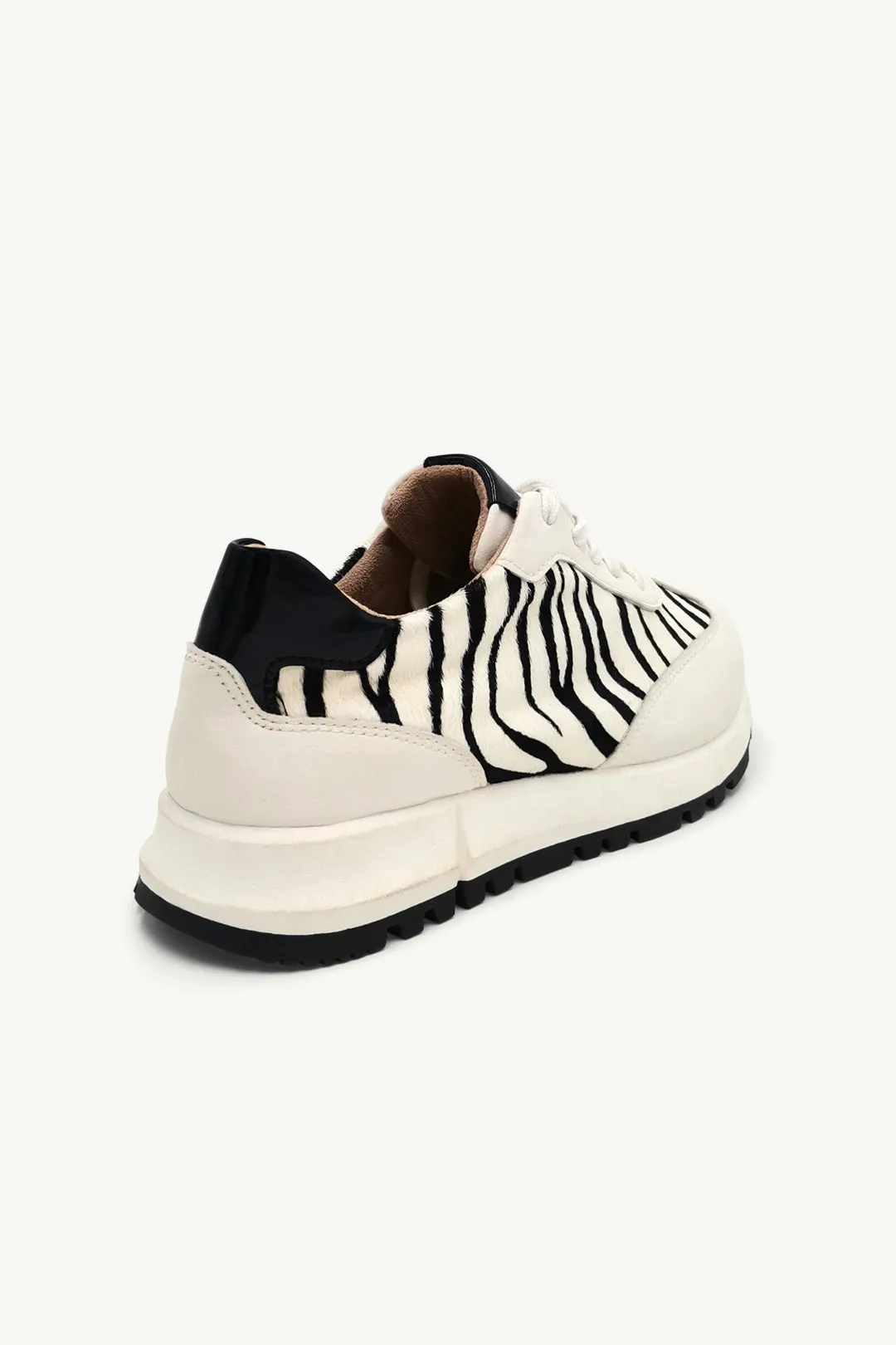 Sterling Zebra