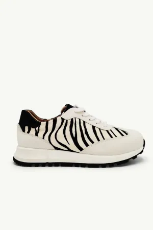 Sterling Zebra