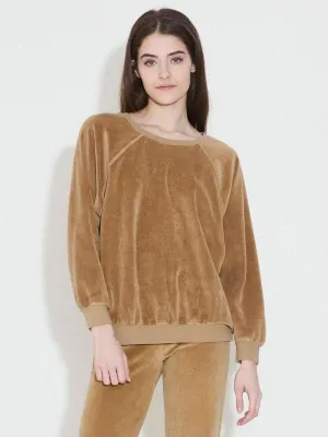 Velour Unisex Oversized Sweatshirt in Teddy