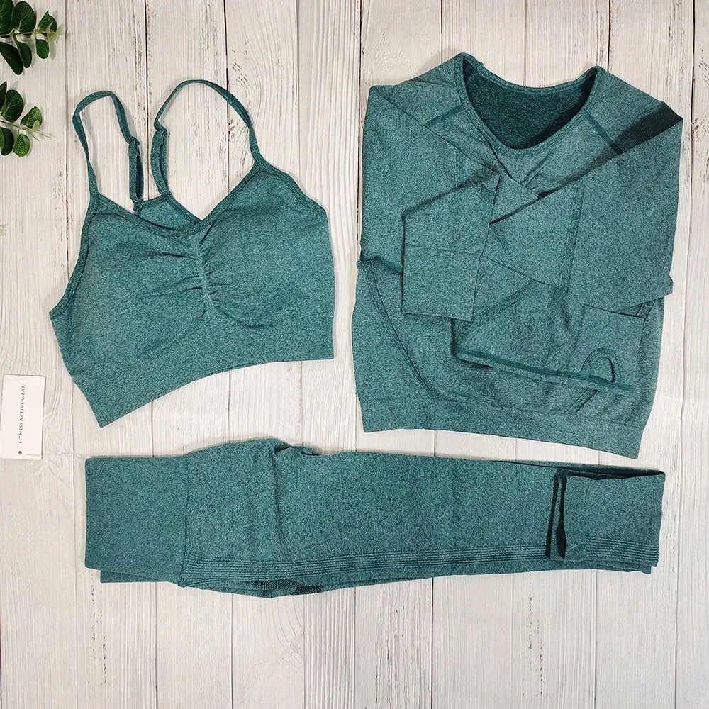 Women's Seamless Fitness Set - Yoga Sportswear Clothing, Gym Outfit, Workout Tracksuit