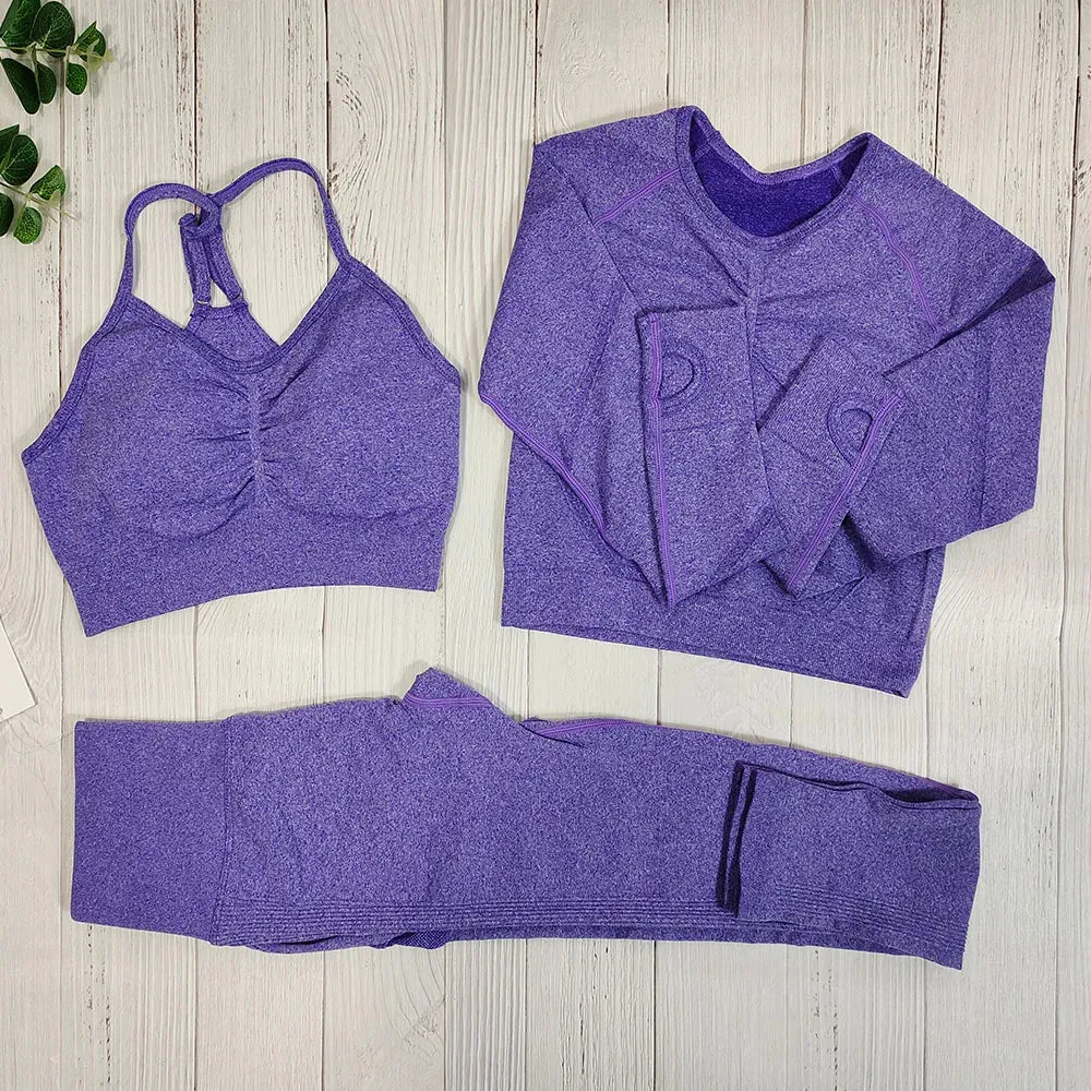 Women's Seamless Fitness Set - Yoga Sportswear Clothing, Gym Outfit, Workout Tracksuit